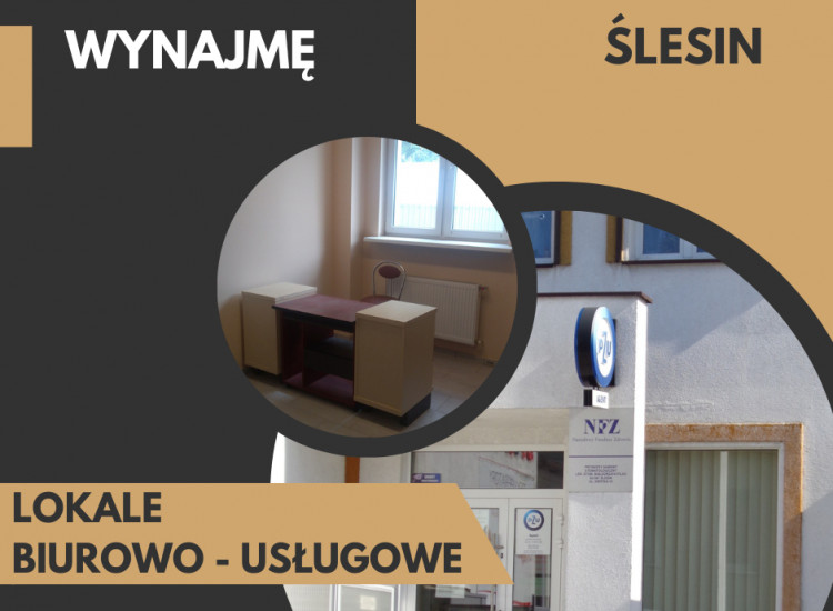 Gabinety w Ślesinie Ślesin