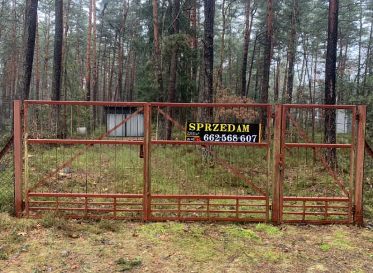 Działka położona w otulinie lasu sosnowego. Żarki-Letnisko