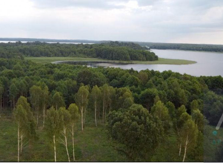 Działka Wierzchowo Wierzchowo