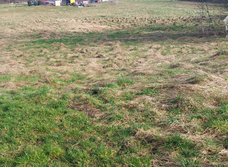 Kryg, działka budowlano-rolna 0,37 ha, 1115S/2024 Kryg