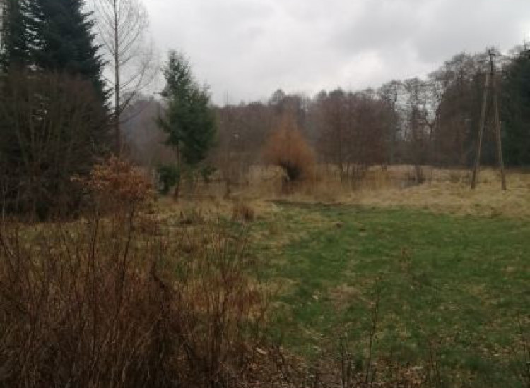 Działka1099m2,Stawno,gm.Goleniów,pod lasem. Stawno