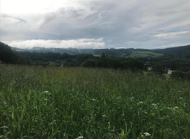 Widokowa działka w Bieszczadach Bukowiec