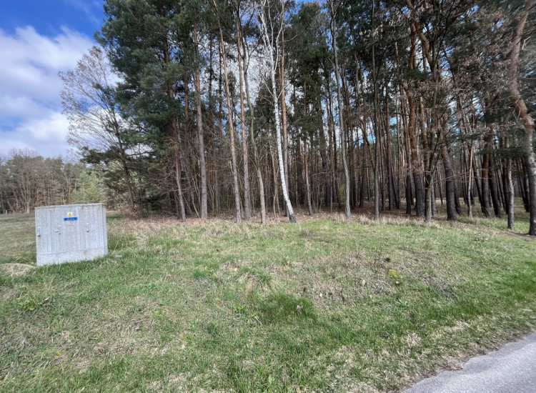 Atrakcyjna działka 2618 m2 w Oblasach-Księżę. Oblasy