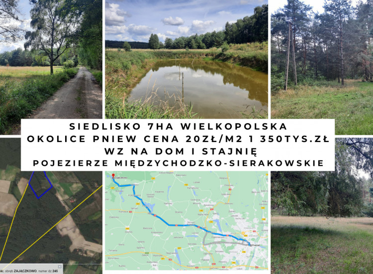 siedlisko z lasem i stawem okolice Pniew Zajączkowo