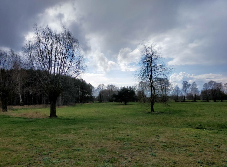 Na sprzedaż działka rolna o powierzchni 6000 m² Piersk