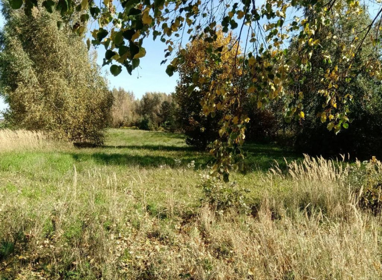 Piotrowice - działka 20 arów w doskonałej cenie! Piotrowice