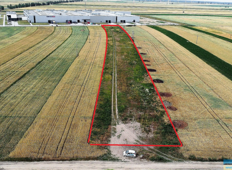 Na Sprzedaż działka rolna 8500 m2 (0,85 ha) | Na terenie działki obowiązuje MPZP | Kotunia koło Słupcy Kotunia