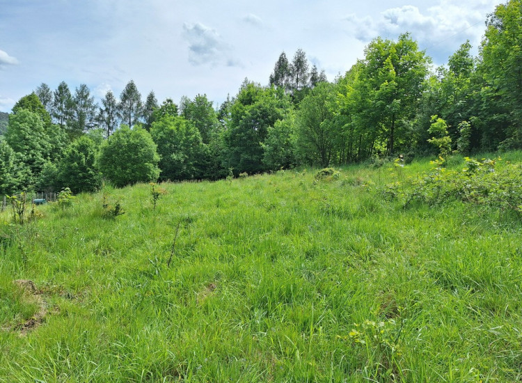 Widokowa działka pod rekreację Sucha Beskidzka