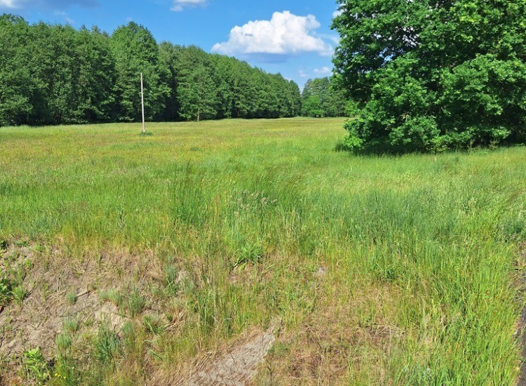 Działka Tanowo,plan-usługi,3233m2,łączna-1.74 ha. Tanowo