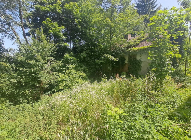 Gm. Rybczewice - Częstoborowice -siedlisko - 20ar Częstoborowice