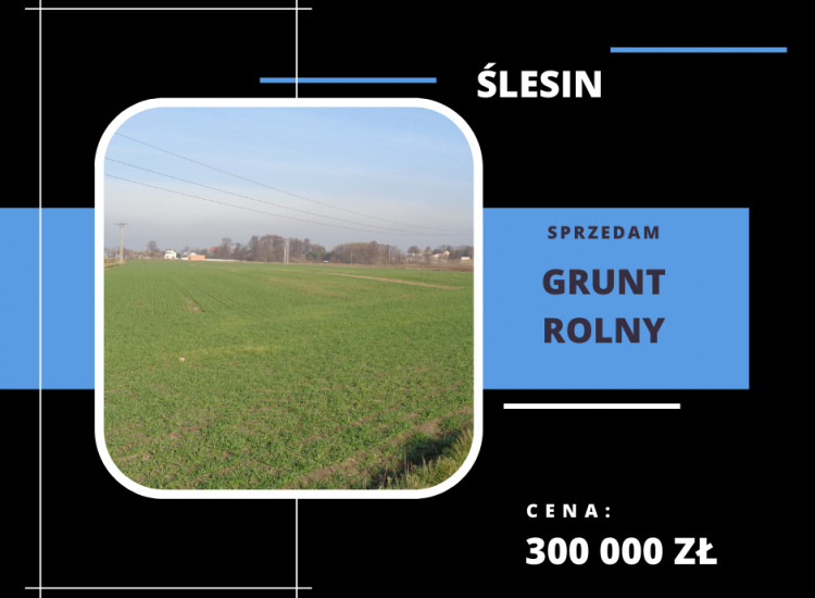 Grunt Rolny Gmina Ślesin Ślesin