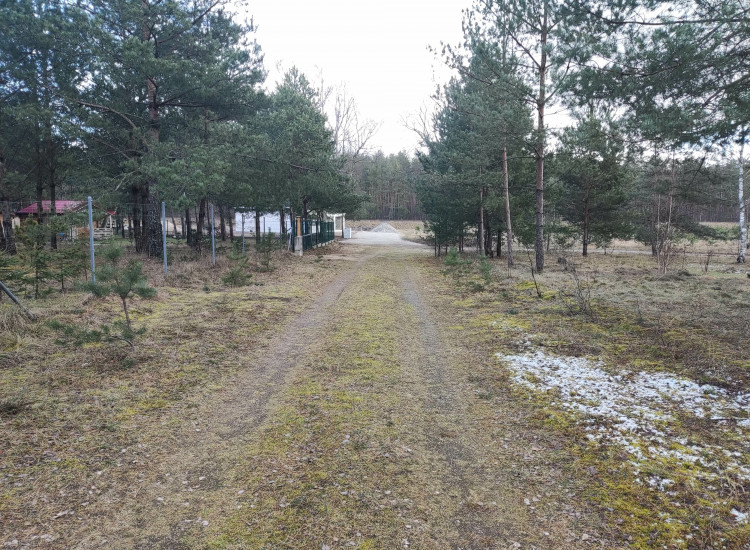 Syndyk sprzeda udział w prawie współwłasności nieruchomości Brzeźnica