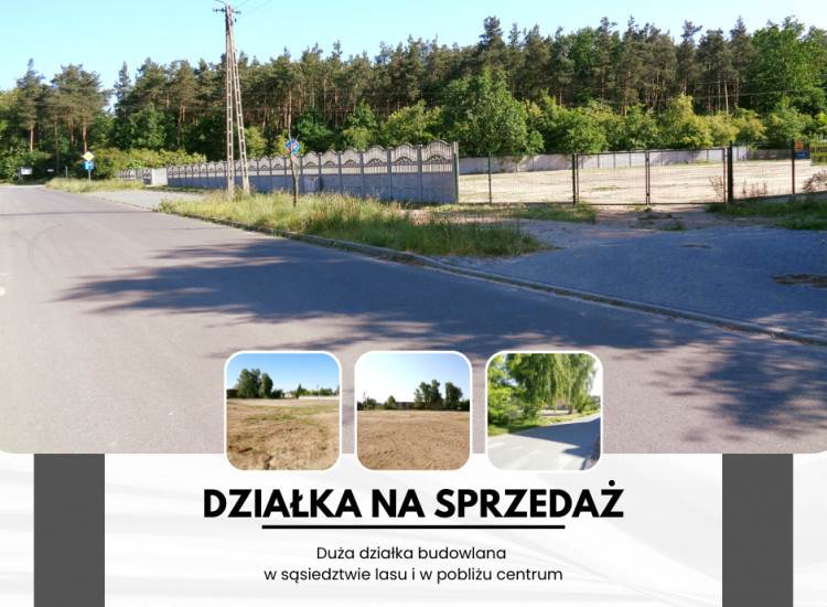 Babiak – Działki w sąsiedztwie lasu Babiak