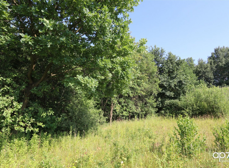 Działka Bodzanów Bodzanów