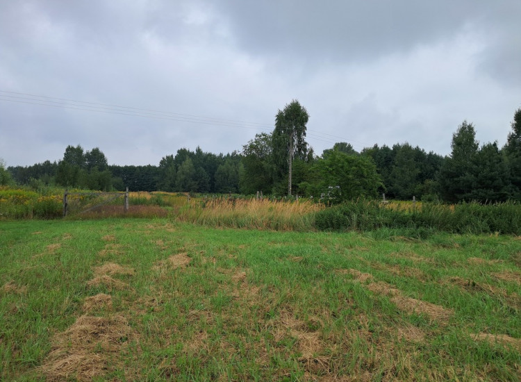 Opole Lubelskie - 1,24 ha - malownicza okolica Opole Lubelskie