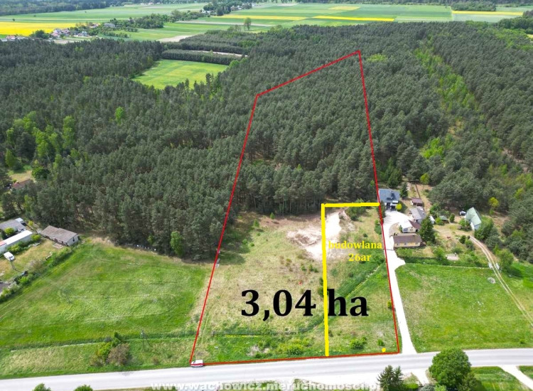 Działka leśno budowlana – Szałas, gmina Sędziszów - www.wachowicz.nieruchomosci.pl Szałas