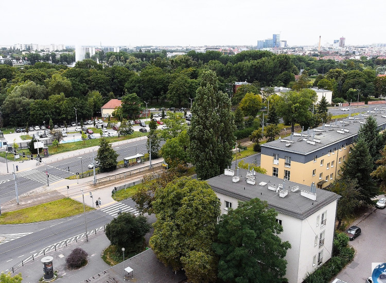 5537| Poznań, Śródka Mieszkanie na sprzedaż Poznań