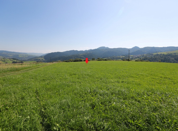 Działka w Grywałdzie; 1,1003 ha; warunki zabudowy Grywałd