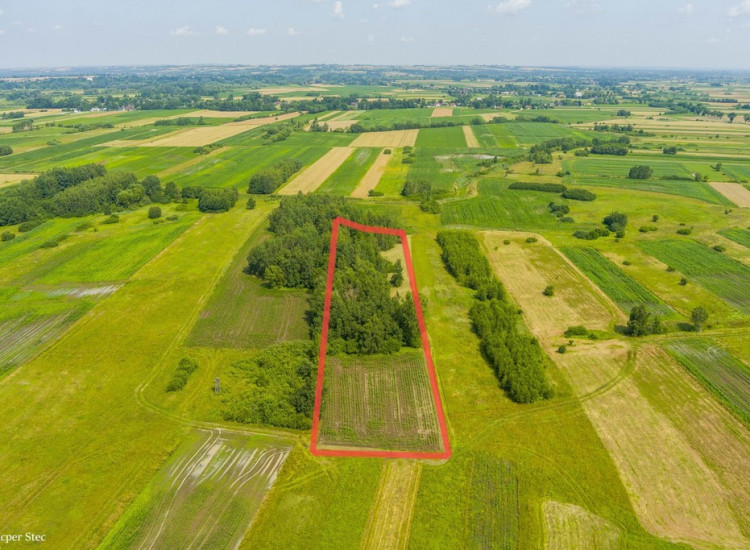 Sprzedam działkę rolną. Zaborów