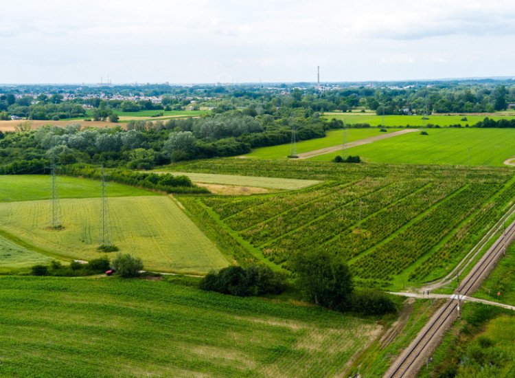 Działka inwestycyjna - wysoki  i szybki zysk Tarnowiec
