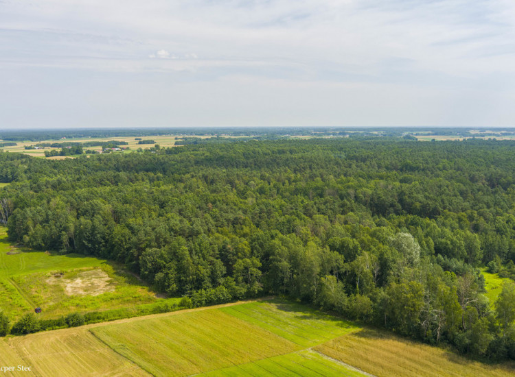 Działka rolna Smyków