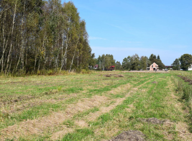 Działki budowlane 8a i 9.5a- Bratkowice Bratkowice