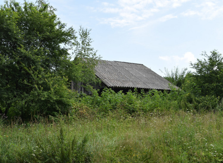 Działka 21a pod rekreację- Wesoła Wesoła
