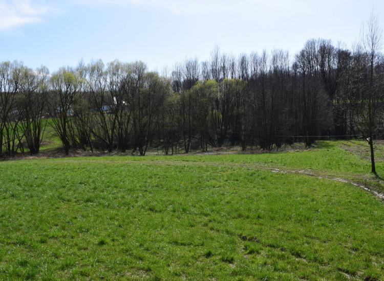Działka rekreacyjna 40a- Manasterz Manasterz