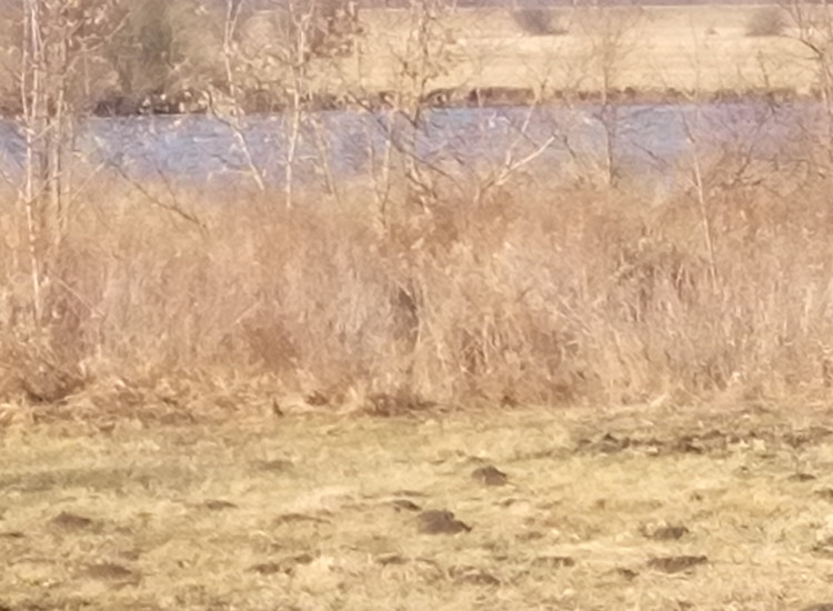 Sprzedam działki nad Bugiem Brzuza