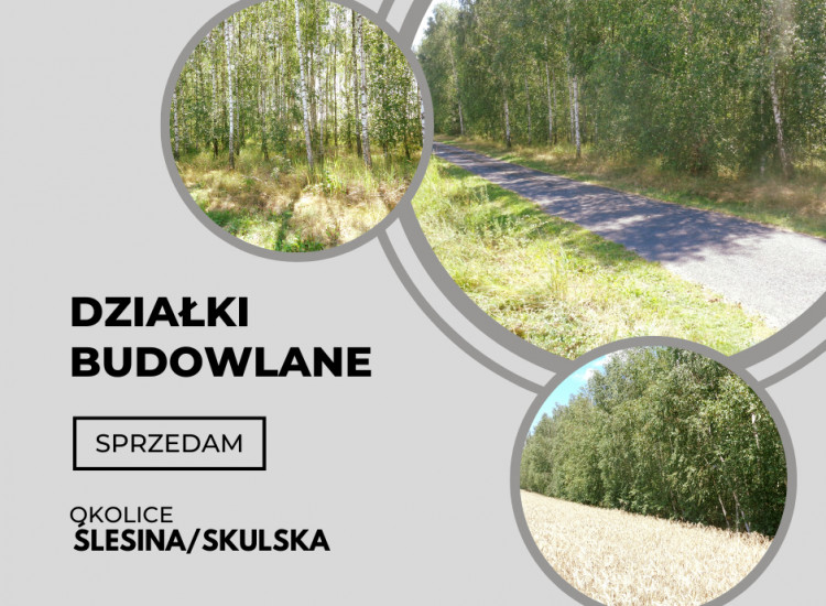 Okolice Ślesina/Skulska – Działki Budowlane Ślesin