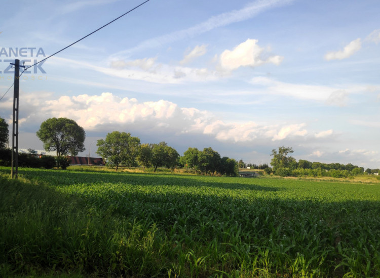 Działka Kopytów ul.   Kopytów