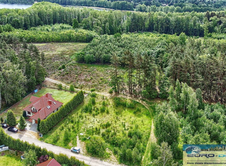 Działka Sprzedaż, Murowana Goślina (GW) Łopuchowo Łopuchowo
