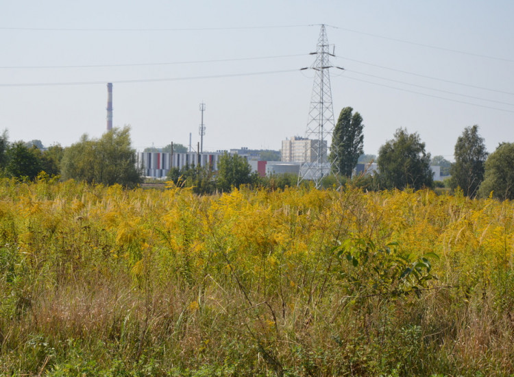 Działka Lublin-Zadębie inwestycyjna/budowlana Lublin