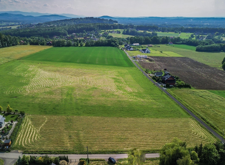 Działka Grodziec ul. Pod Górką Grodziec