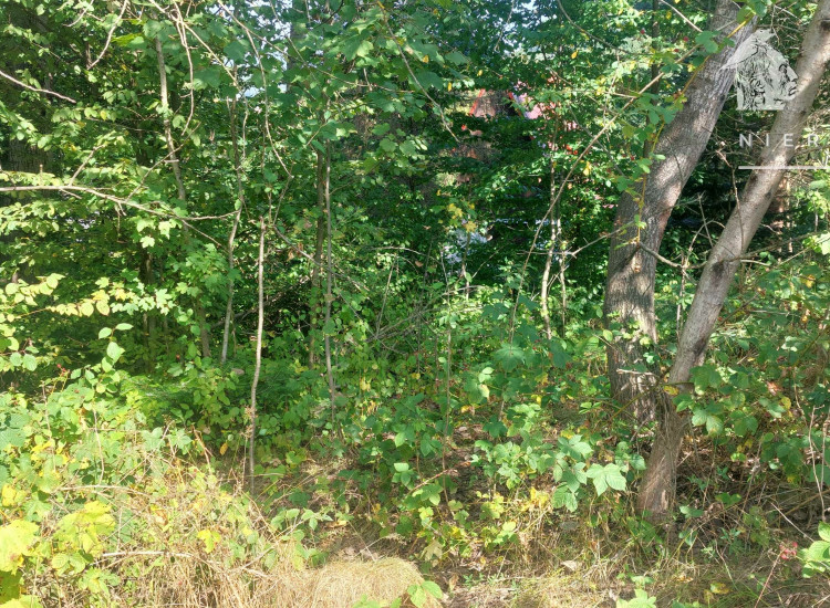 Łosie, działka budowlana 9,93 a, 1135S/2024 Łosie