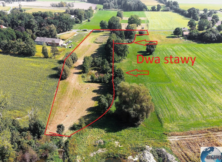 Działka na sprzedaż Pleszew, Borucin Borucin