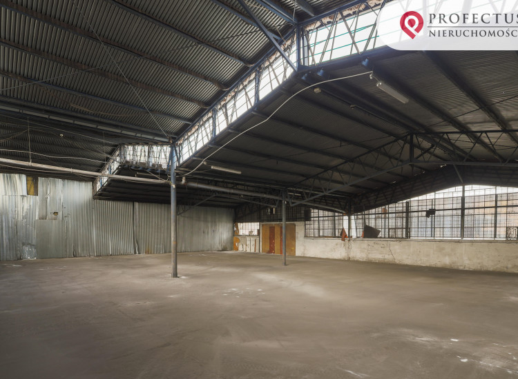 Lokal Gdańsk Letnica Gdańsk