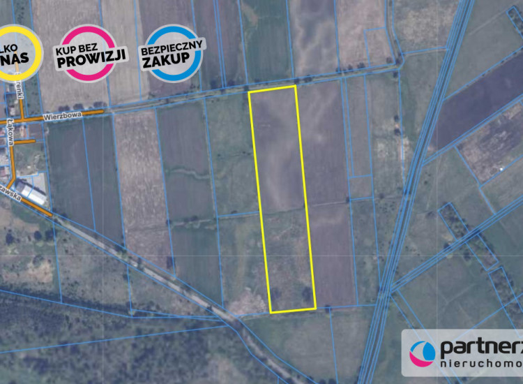Działka Roszkowo ul. Wierzbowa Roszkowo