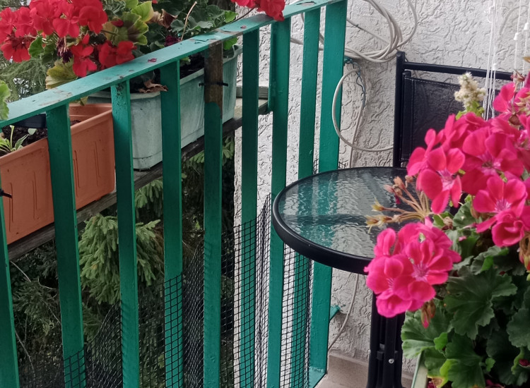 Sprzedam mieszkanie w Koszalinie Koszalin