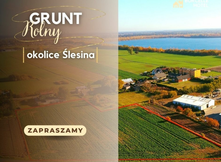 Grunt Rolny Okolice Ślesina Ślesin