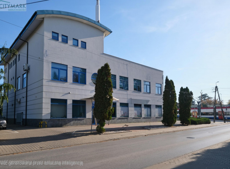 Lokal Opacz Kolonia Opacz-Kolonia