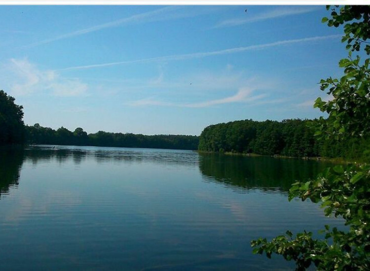 Dz.1.2334ha,Żelisławie,gmCzaplinek,J.Kaleńskie,las Żelisławie