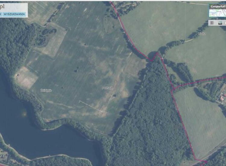 Dz.1.2059ha,Żelisławie,gmCzaplinek,J.Kaleńskie,las Żelisławie