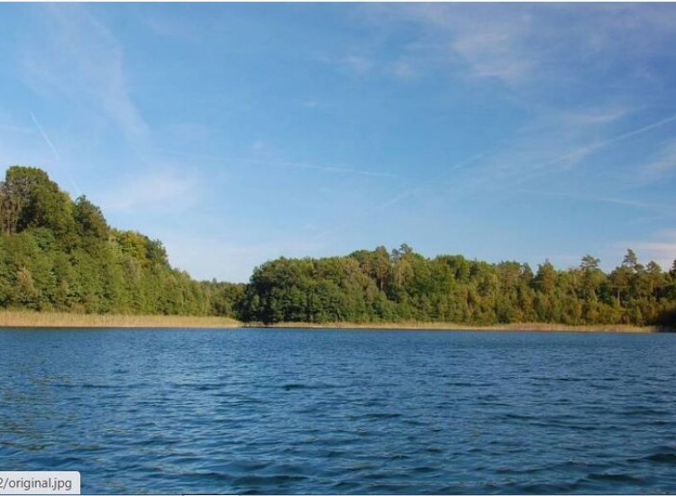 Dz.1.5149ha,Żelisławie,gmCzaplinek,J.Kaleńskie,las Żelisławie
