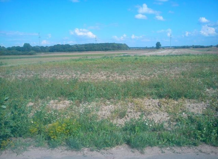 Działka Mirków Mirków