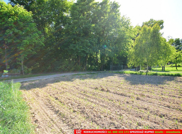 Działka rolno-budowlana bezpośrednio przy lesie. Dominów