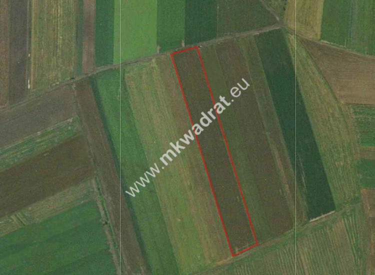 Ziemia rolna, Błonie, 50 % udziału Radzików