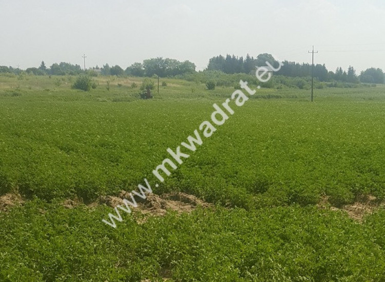 Działka Kopytów Kopytów