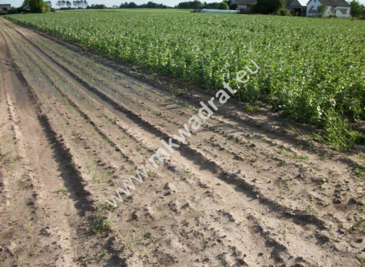 Konstantów działka 1.225m2 wym.35x35 PKP A2 LUX !! Konstantów