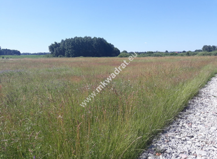 Dla DEVELOPERA z MPZP i MEDIAMI warto! Stachowo